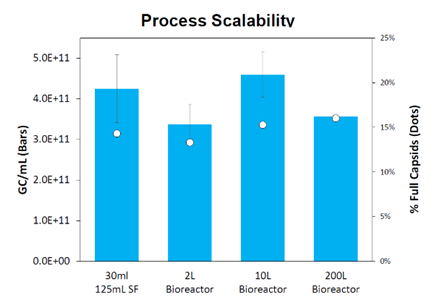 A graph of blue rectangular bars with white text Description automatically generated